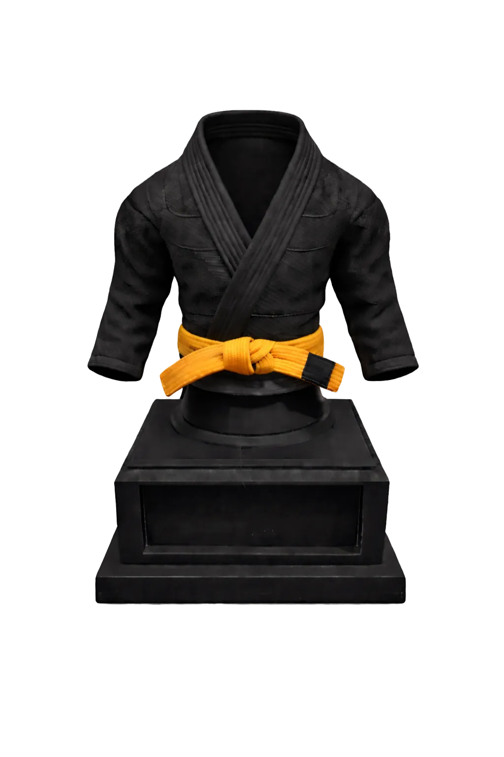 BJJ Trophy and  Belt Display Combo