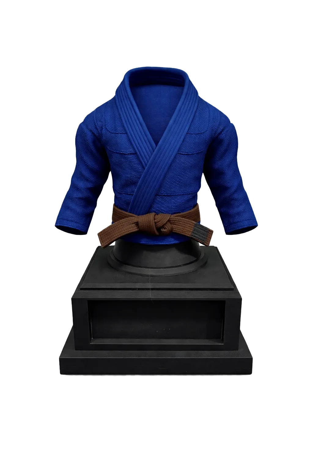 BJJ Trophy and  Belt Display Combo