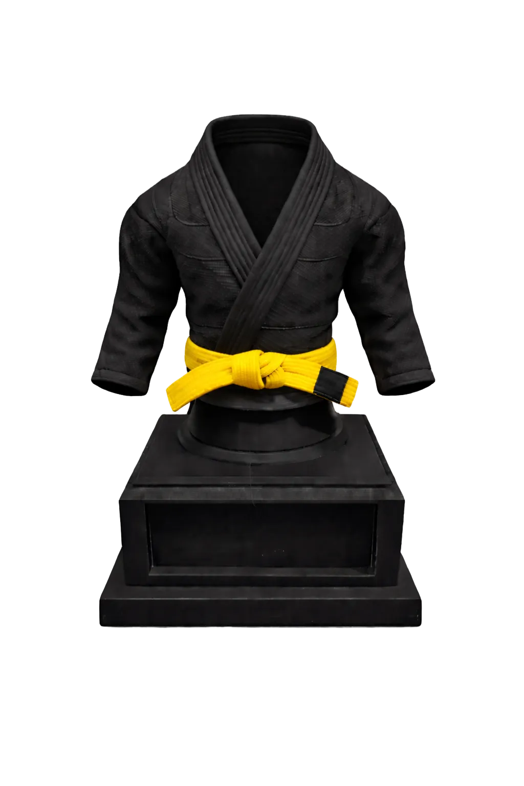 BJJ Trophy and  Belt Display Combo