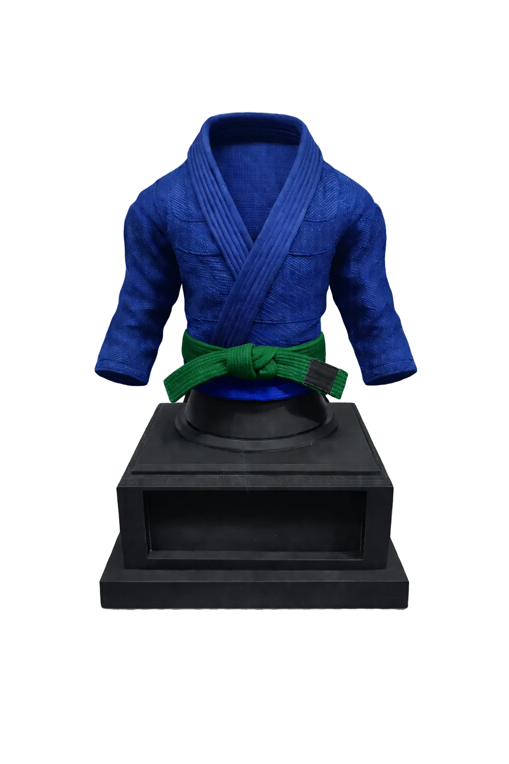 BJJ Trophy and  Belt Display Combo