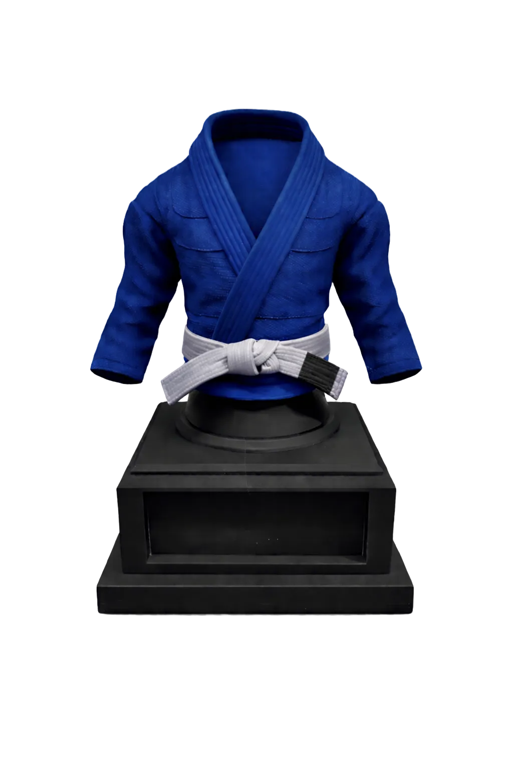 BJJ Trophy and  Belt Display Combo