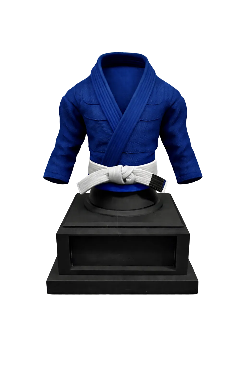 BJJ Trophy and  Belt Display Combo