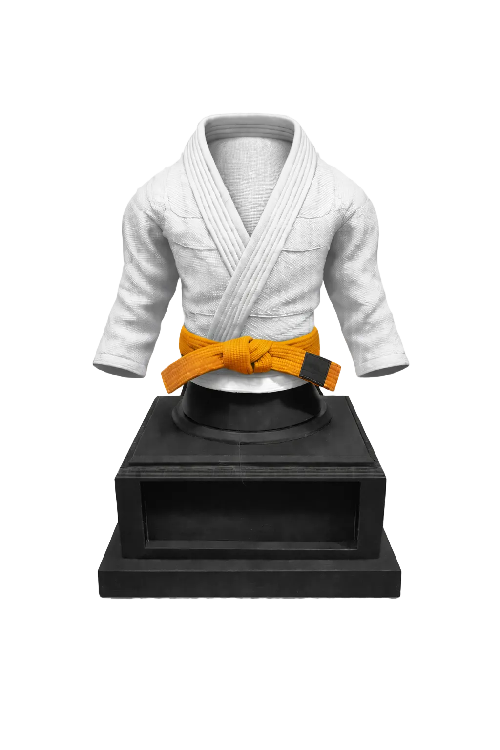 BJJ Trophy and  Belt Display Combo