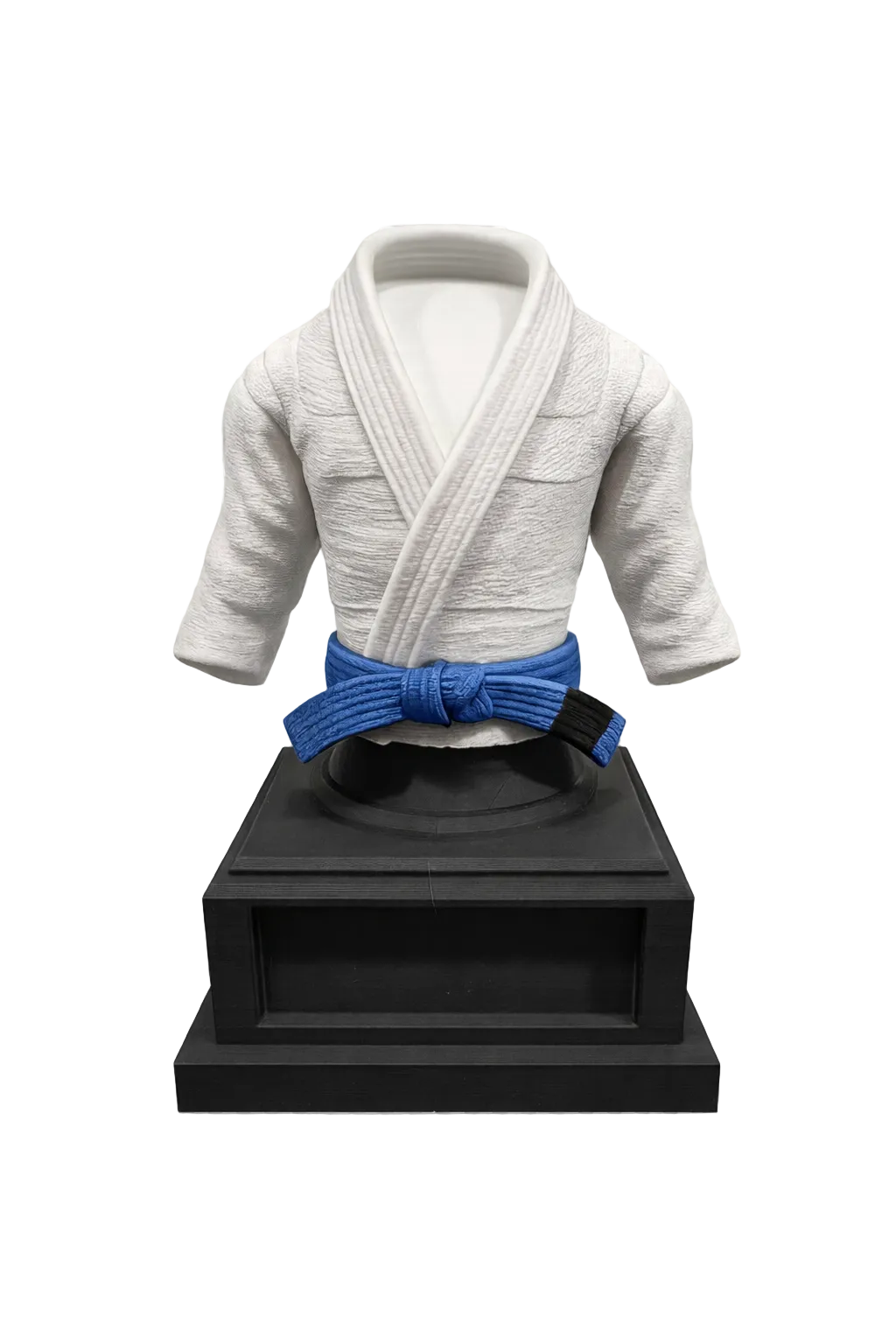 BJJ Trophy and  Belt Display Combo