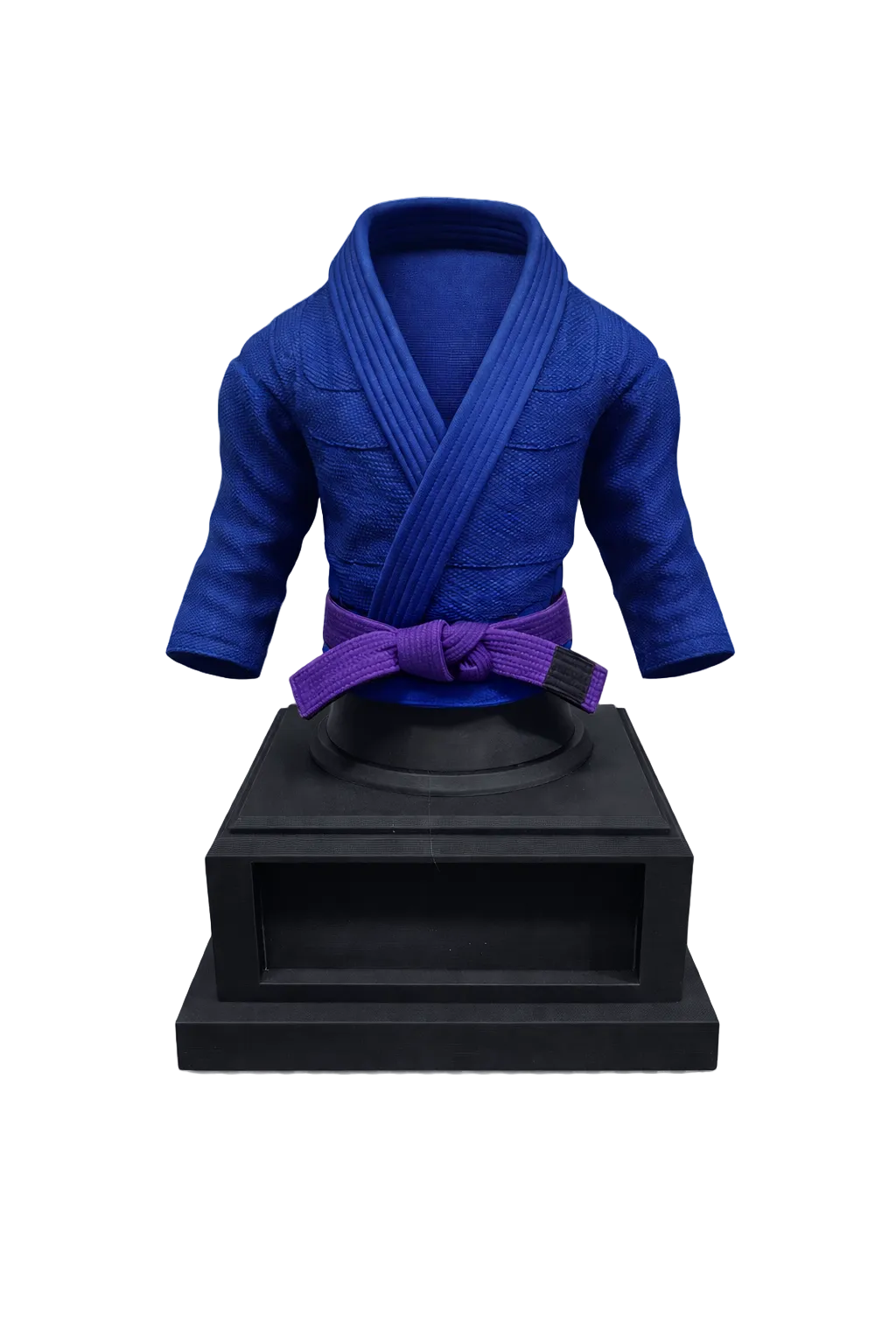 BJJ Trophy and  Belt Display Combo