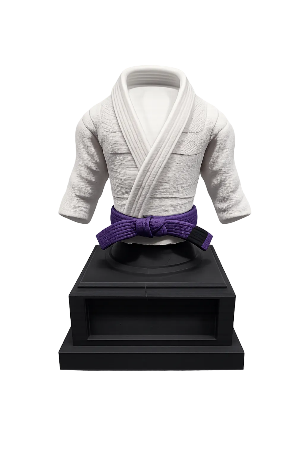 BJJ Trophy and  Belt Display Combo