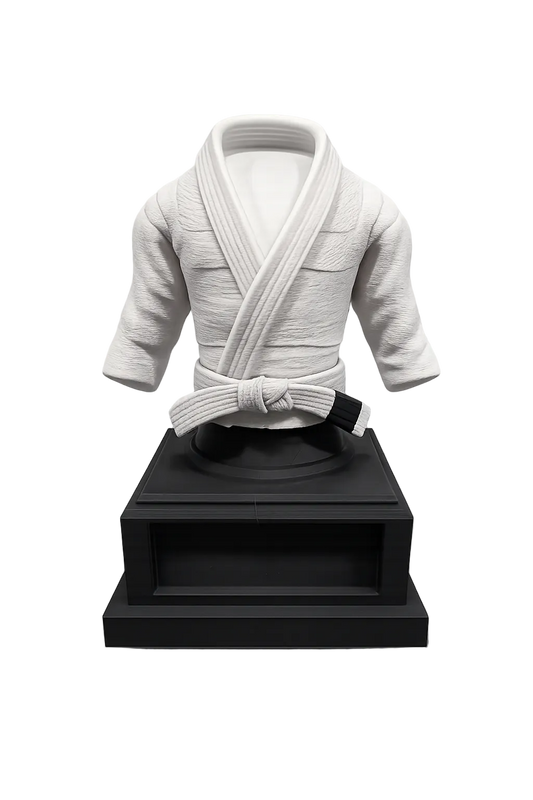 Interchangeable Belt Display + All Colored belts for VSBJJ Graduation