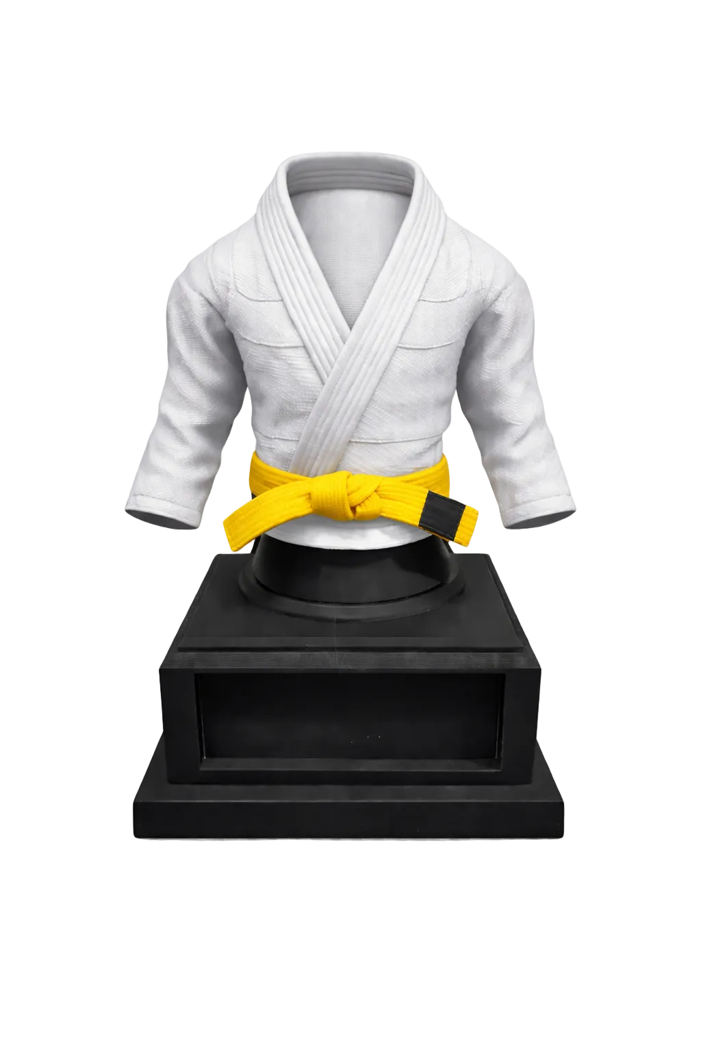 BJJ Trophy and  Belt Display Combo