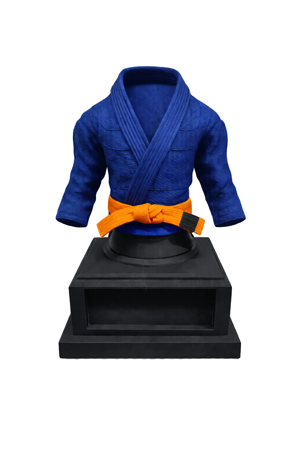 BJJ Trophy and  Belt Display Combo