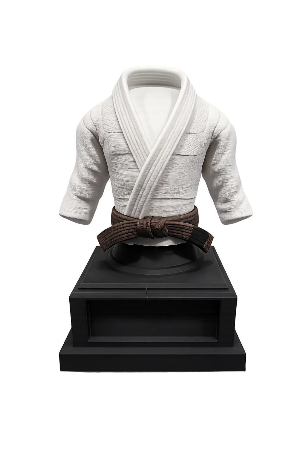 BJJ Trophy and  Belt Display Combo