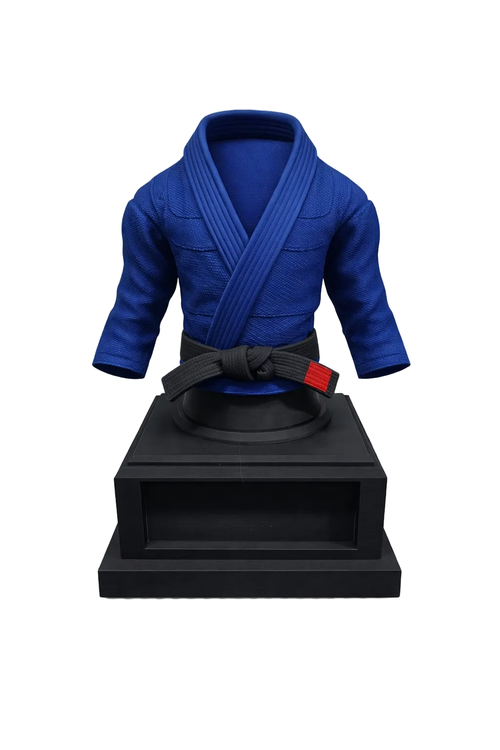 BJJ Trophy and  Belt Display Combo