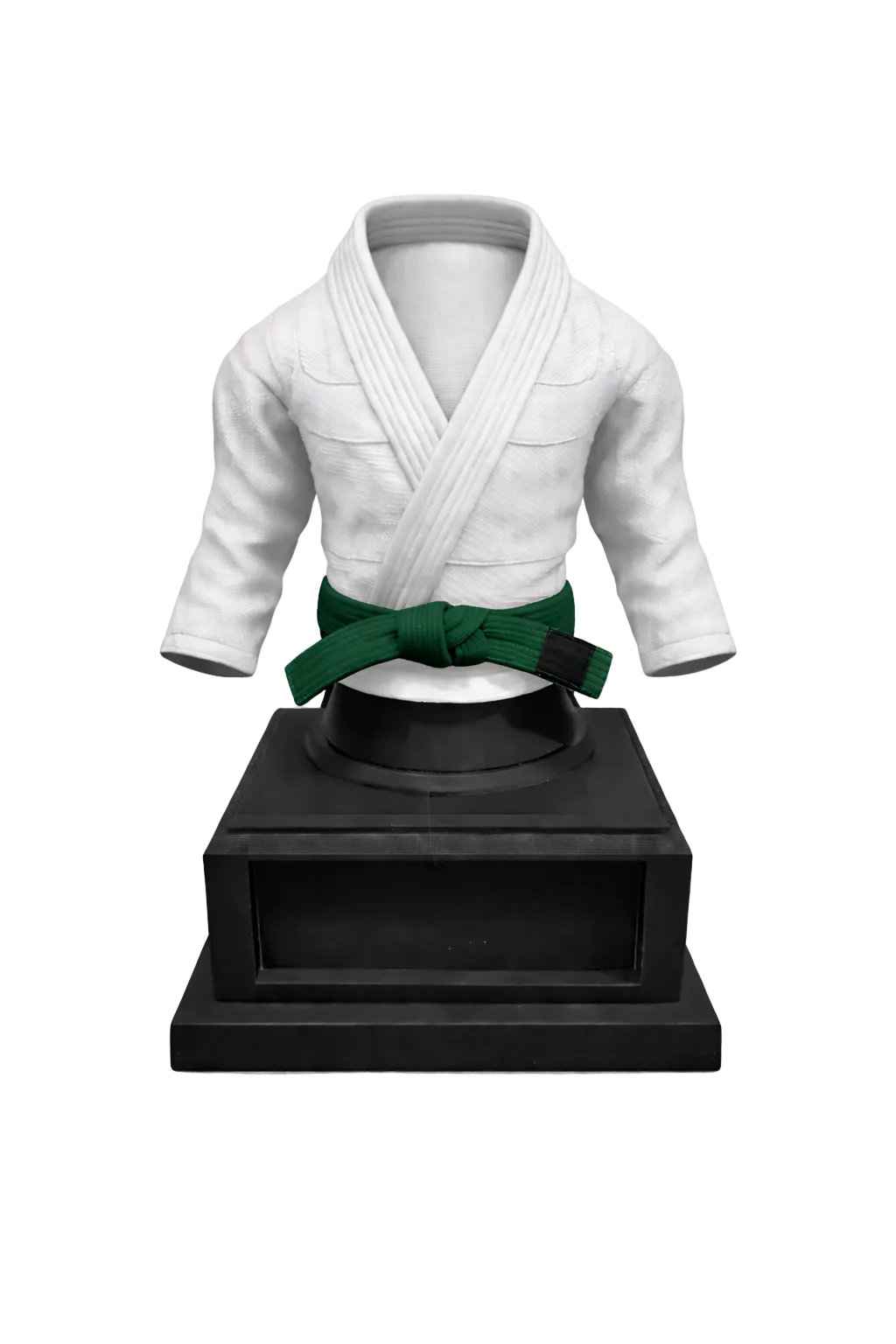 BJJ Trophy and  Belt Display Combo