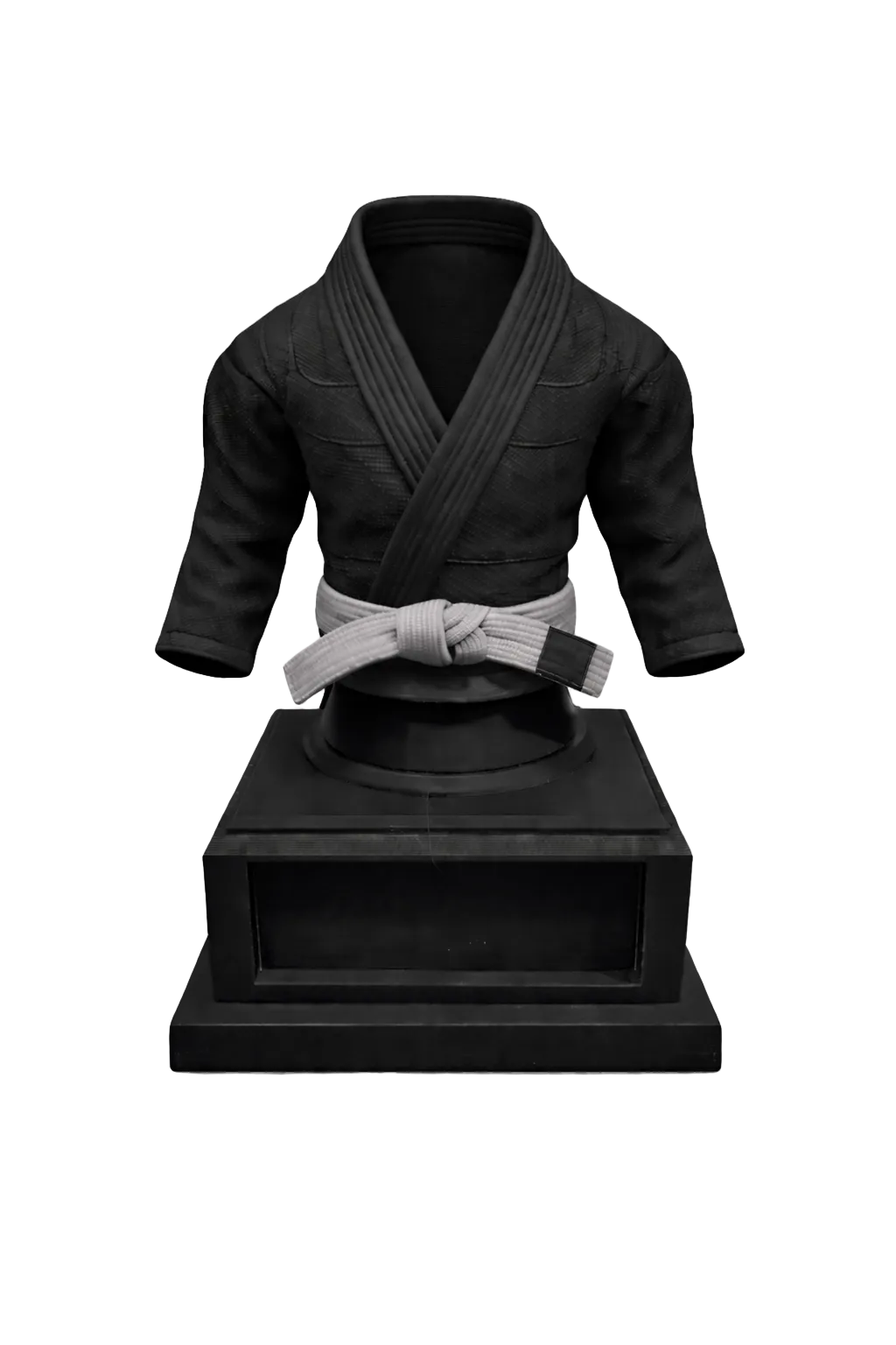 BJJ Trophy and  Belt Display Combo