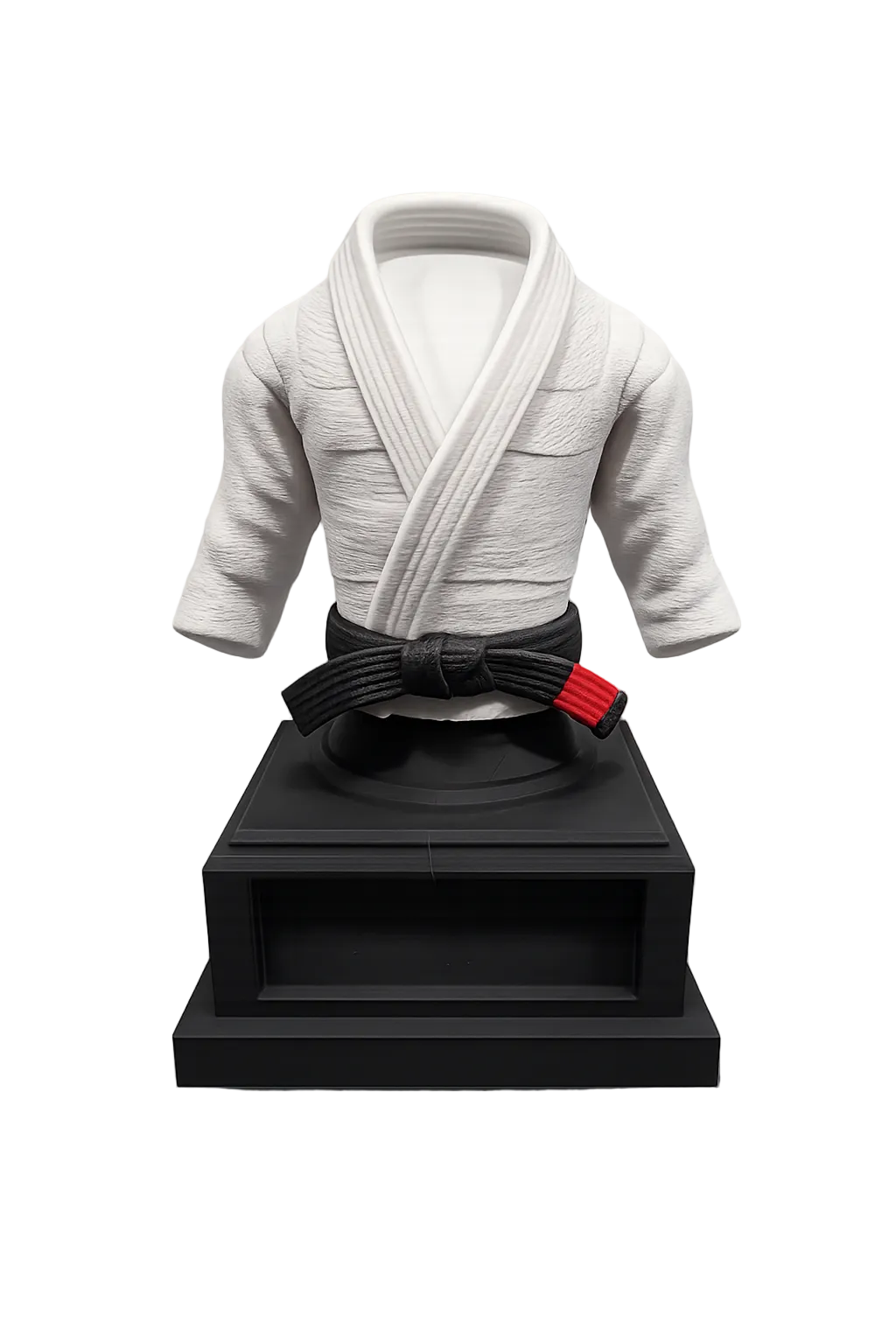 BJJ Trophy and  Belt Display Combo